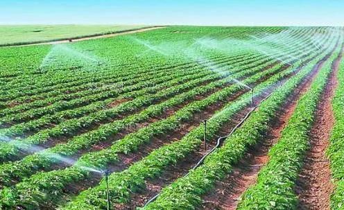 小逼好日农田高 效节水灌溉